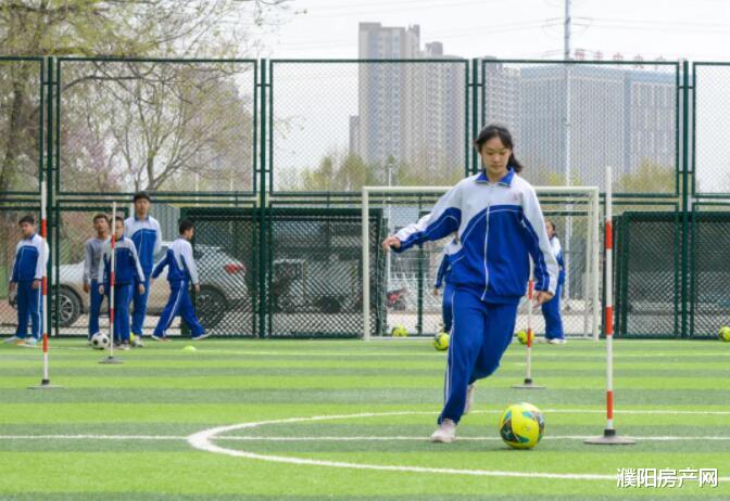 濮阳房产网 超赞！濮阳市体育场升级改造最新进展来了！