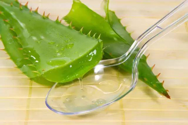 柚子医生|最毒不过秋蚊子！2种迅速止痒方可以不擦类固醇药膏