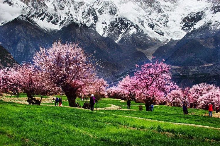 林芝 阳春三月，这6个中国最美的景点你都去过了吗