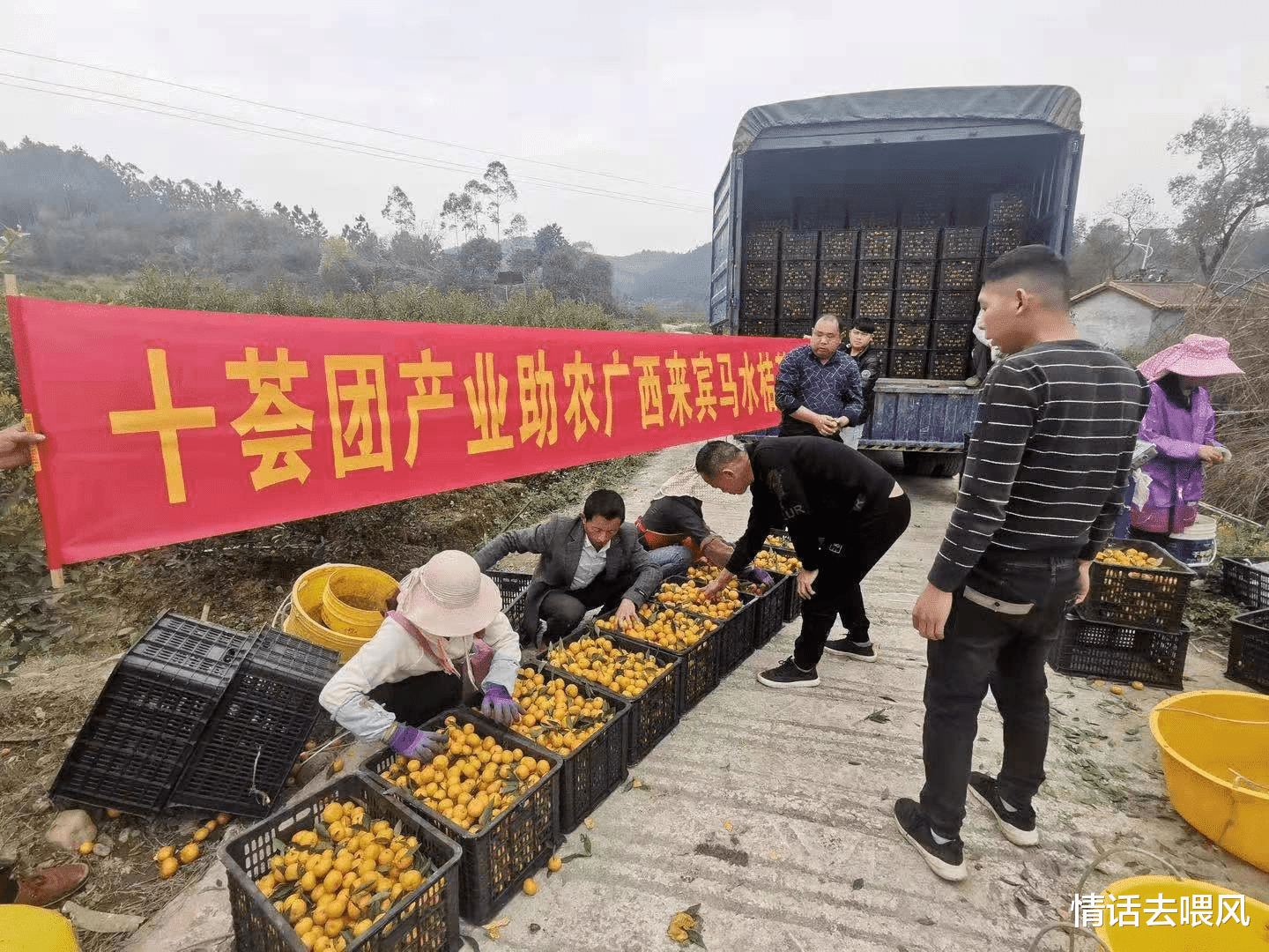 阿里巴巴|阿里3次获人民日报褒扬，卖菜业务闯入前三，员工薪资却只发放一半