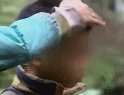 蹦极 那个全脸都是弹片的女孩