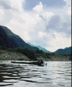 动物庄园|甲方这个要求提得是不错，只是这预算过分了啊