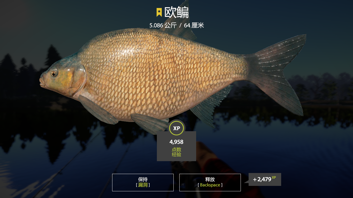 草鱼|俄罗斯钓鱼4  老奥欧鳊点位，更新后推荐