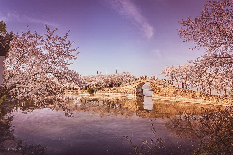 鼋头渚 3月，我建议你一定要去一次鼋头渚，美到不想离开