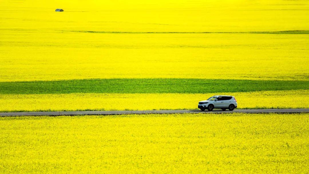 西宁|被预言下一个“瑞士”，这个夏日均温20°C的宝藏地，刘昊然都来打卡！