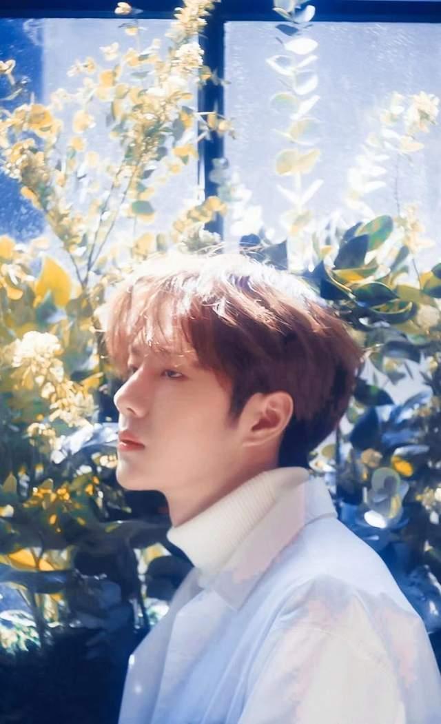 王一博|乐华水军辞职后爆料：王一博令自己“寝食难安”，还透露高额薪资