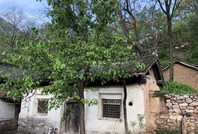 大门|“厨房在西北,寡妇两眼泪”,啥意思?为啥厨房在西北会流泪?