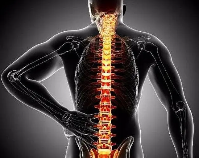 黄精|腰椎间盘突出患者如果出现腿脚发麻、无力，要小心。有可能压迫到马尾神经