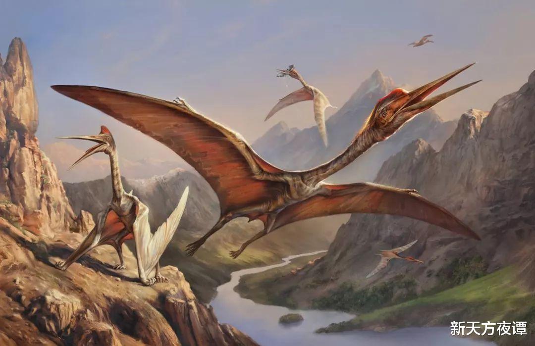 恐龙 比恐龙还可怕的史前生物，都是闻风丧胆的顶级掠食者，你知道几个？