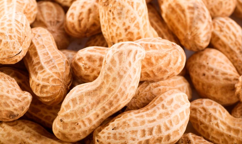 镜头|秋季少吃寒性食物,推荐多吃这5种,顺应时令,营养滋补防秋燥