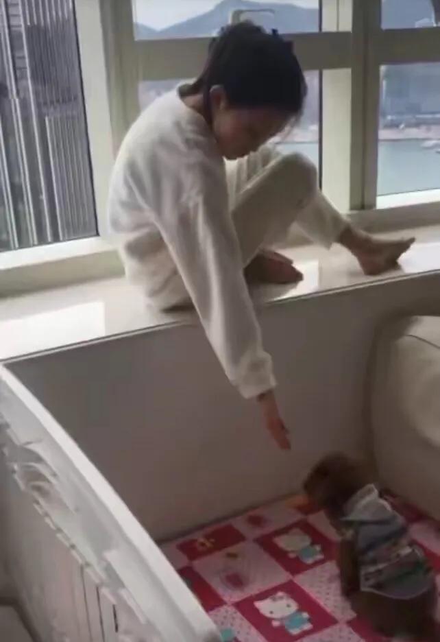 郭可盈|郭可盈和女儿为狗狗庆生，家中上亿豪宅曝光，尽收270度维港景色