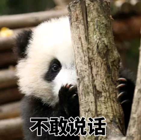 田朴珺|“靠自己”的“新时代独立女性”,你能要点脸吗?