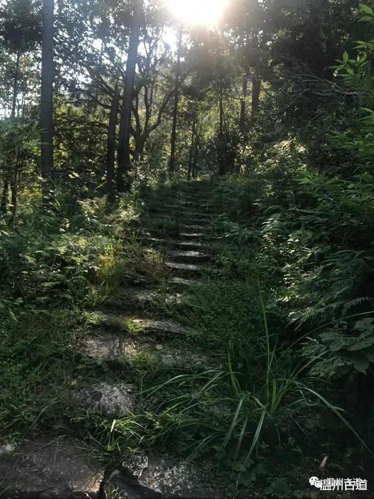 雁荡山|?行走雁荡山古道，轻读岁月的长卷，秋日山景更醉人！