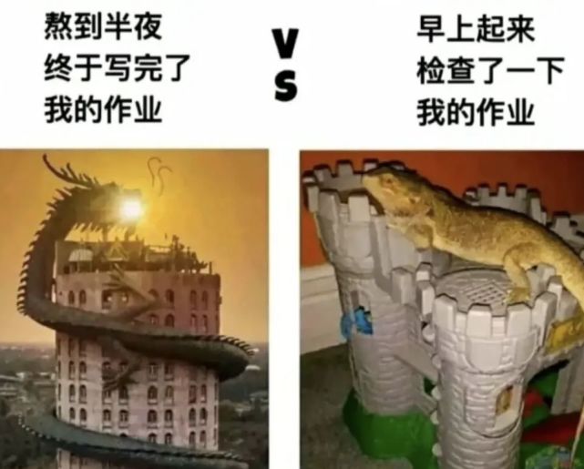 考研英语|南方的小可爱，第一次在北方过冬有什么误会？认真的吗哈哈