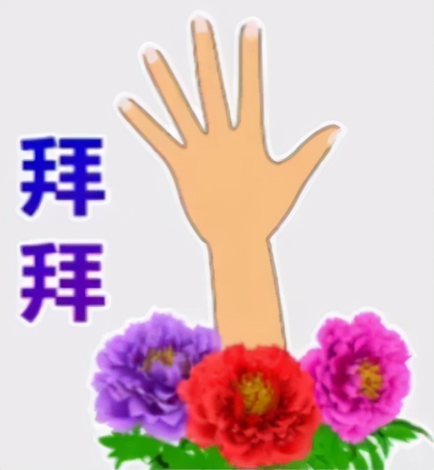 王思聪|王思聪与网红孙一宁大战，表情包全梳理