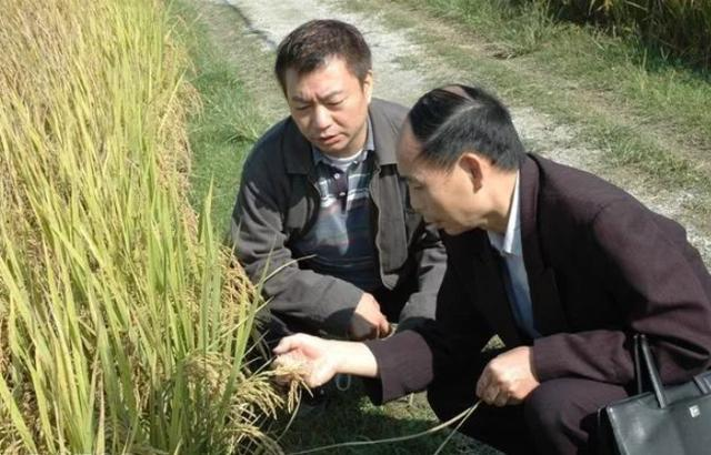 唐嫣|51岁万绮雯首谈定居内地原因，称以前拍戏太累，现成5家民宿老板