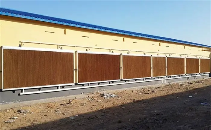 龙昌养鸭助手 新思维养殖：夏季鸡舍降温方法实用操作手册