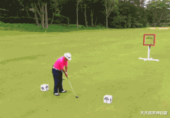 神回复|神回复：杨紫的红毯造型为啥永远是一字肩，丸子头？