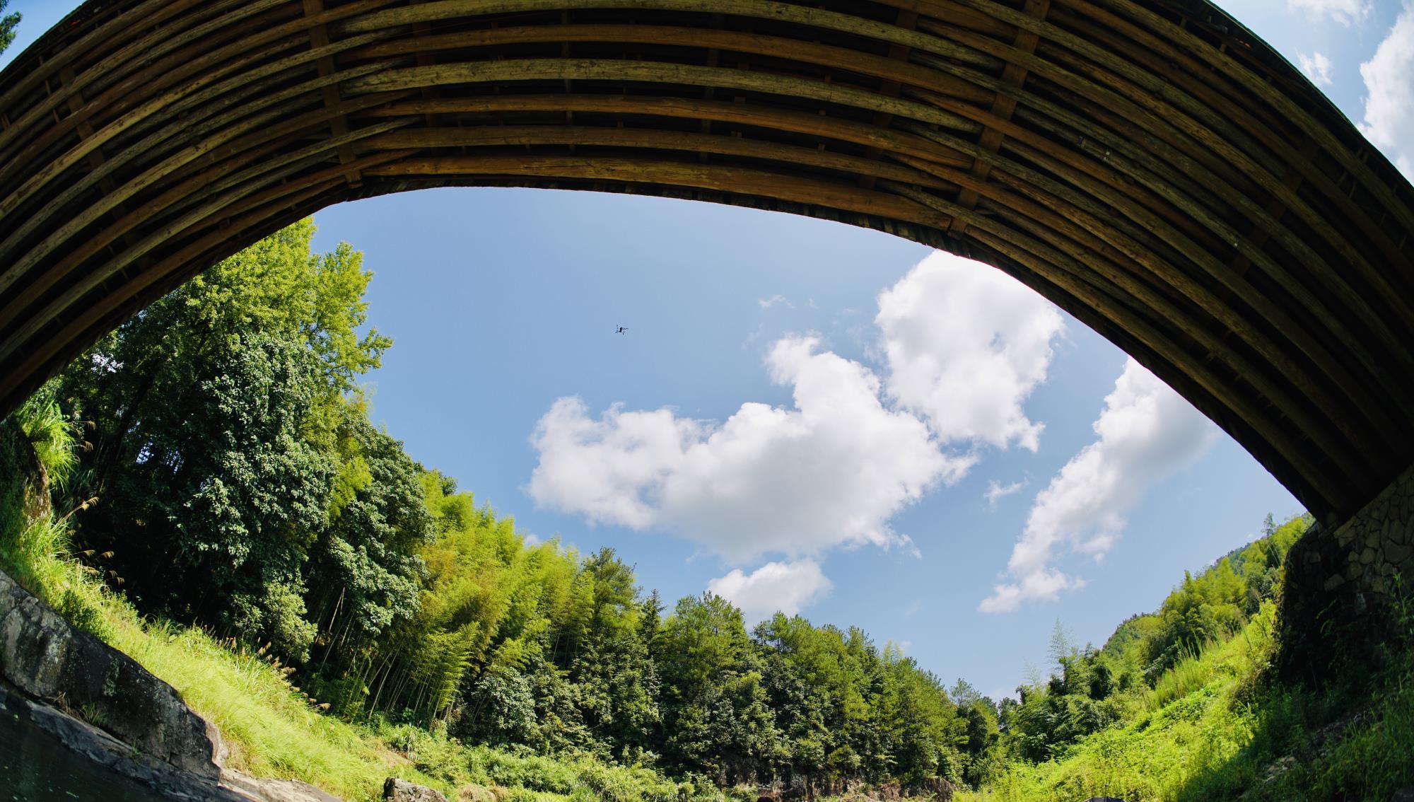 长脖子爸比说|探访浙南国宝级古廊桥,每一步都是历史,每一座都有故事!