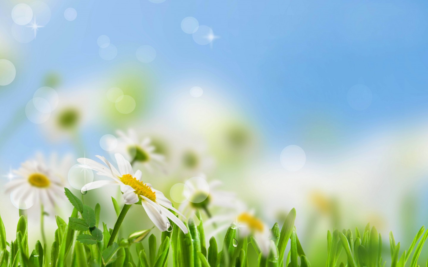 遇见小媛|这三种话烂在肚子里，也不能跟任何人说，尤其是第三种