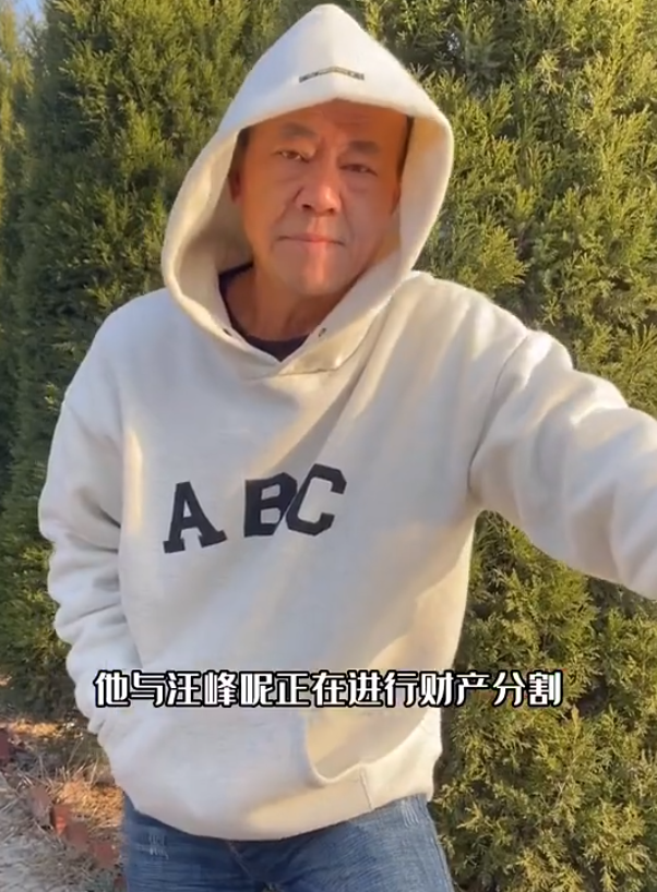 薇娅|朱皮曝章子怡汪峰离婚？两人正在分割财产，此前曾退出共同公司