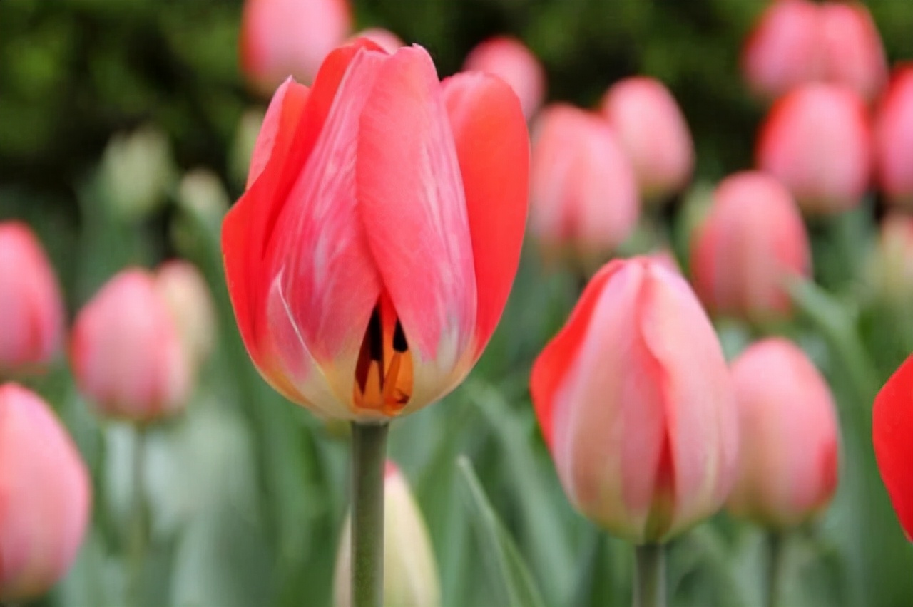 收费站|有一种苦，只有人到中年才会懂（读到心酸落泪）