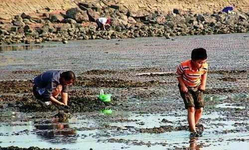 舜网 农村人捕鱼方法千奇百怪，一女子自制的捉鱼工具就特别厉害