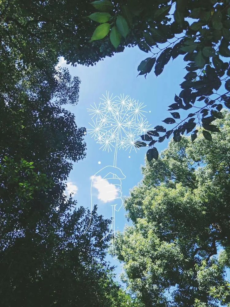 国务院常务会议 难过的时候就抬头看一看天