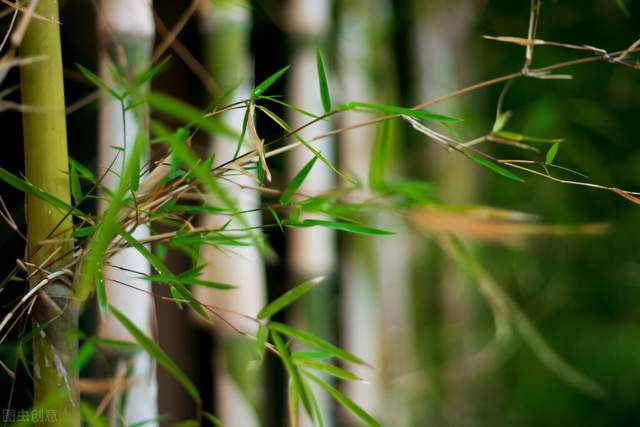 异界名录|民间故事：哥俩分家，哥哥糊弄老实的弟弟，弟弟竟因祸得福