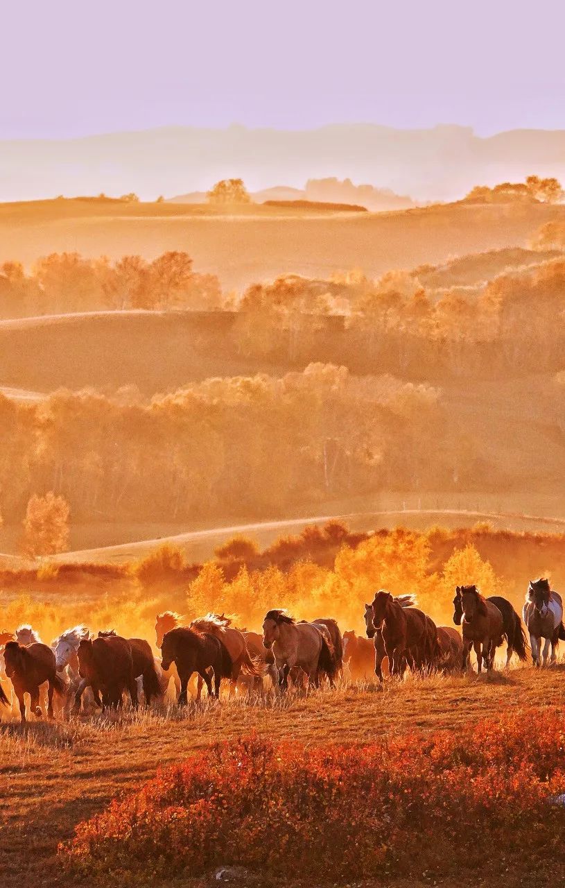 黄果树瀑布 《国家地理》评选中国一生必去的50个地方，我去过26个，你呢？