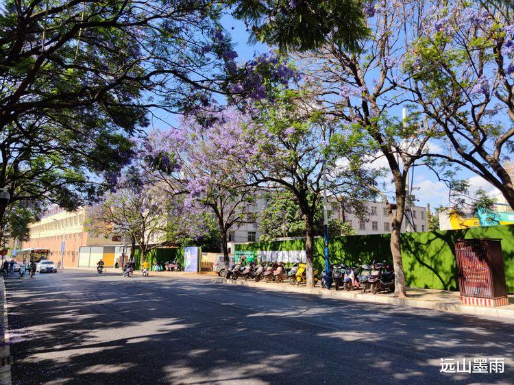 远山墨雨 盘点时下昆明最热的网红打卡地，教场中路的蓝花楹，定会榜上有名