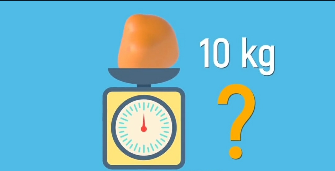 昆虫 足以毁灭一切的反物质到底有多可怕？