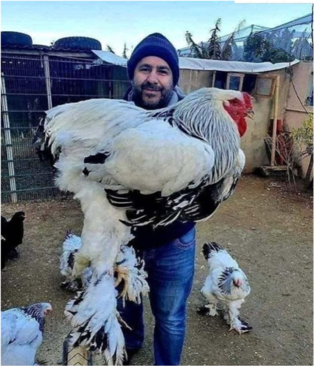 外星生物 30张“有意思”的趣图，奇怪的知识点又增加了