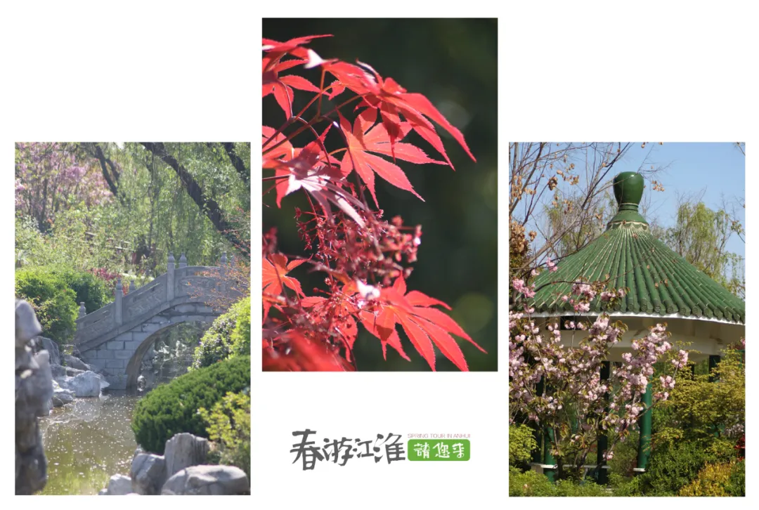 蚌埠论坛 春游江淮请您来丨禹会区不容错过的花园式酒店，你打卡了吗？