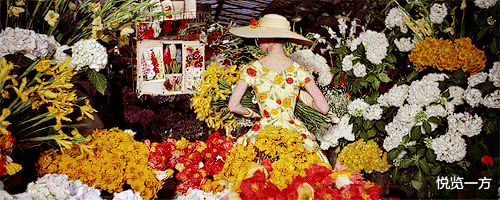 奥黛丽·赫本|红颜易老？赫本、费雯丽、凯利和欧洲美貌公主们容颜老去时