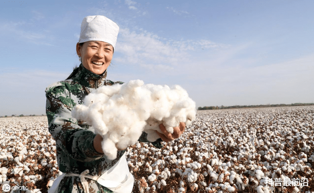 中國每年進口200萬噸棉花，為什麼新疆棉花還要不停地出口？-圖4