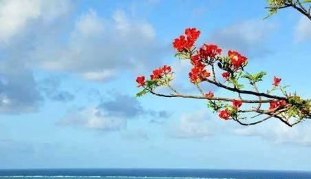 同一类去匹配|孕妈在一年中最适合怀孕的2个月是何时？最佳怀孕黄金期怀孕，有什么好处？