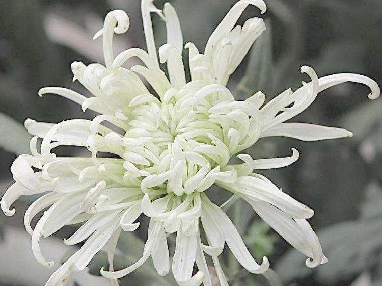 |几月出生的人,文武双全,才华横溢,后劲强大,从年轻富裕到中年