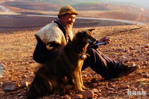 霍金 动物被自己天敌属性克制的程度有多么恐怖？