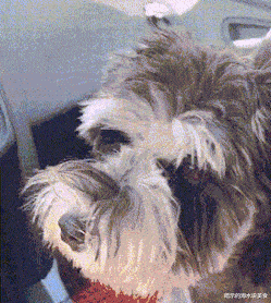 姐姐|“这是阿里巴巴20年前的招聘广告，那时的工资真的不低哈！”