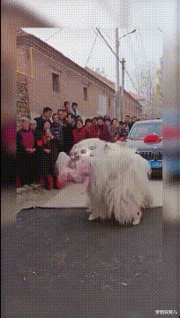 学姐说育儿|“你以前做过最羞耻的事情是什么?”女朋友的回答太tm积极了!