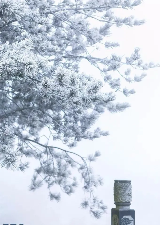 霞浦|太惊艳了！中国这15个地方的雪后容貌，美到无法想象！