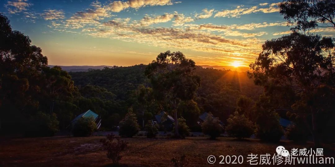 水果|跑步，贵在坚持，慢是精髓