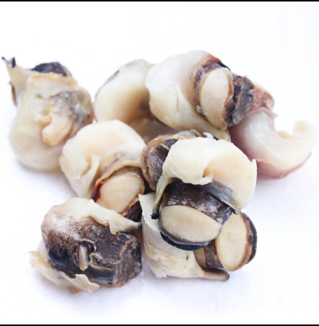 |分享几款垂钓大鲤鱼的天然饵料，大物争着吃