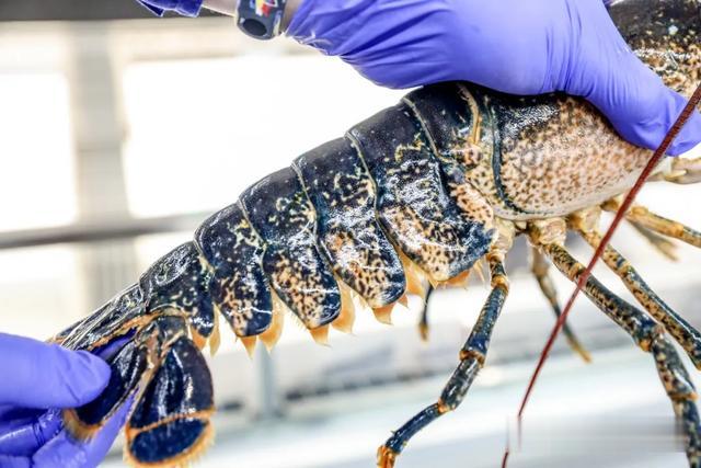 北京市 南三环的宝藏超市，刚开业就火了