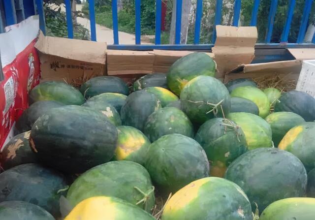 豫北老农民 农村80后回忆童年：那时候西瓜是用麦子换的，还特别甜