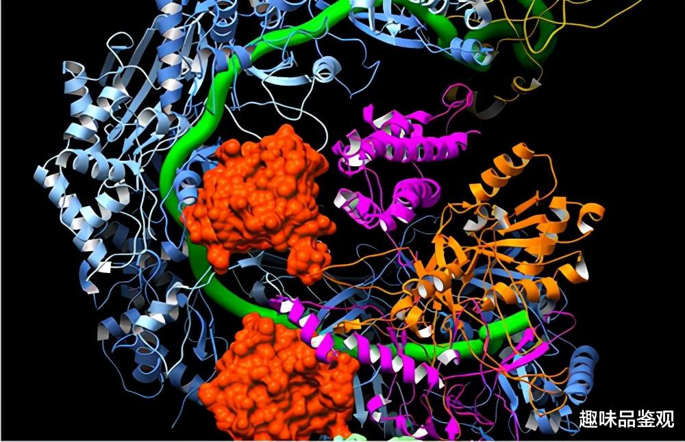 海龟 生命是如何起源的？科学家用超级电脑模拟出的结果，让人无法接受