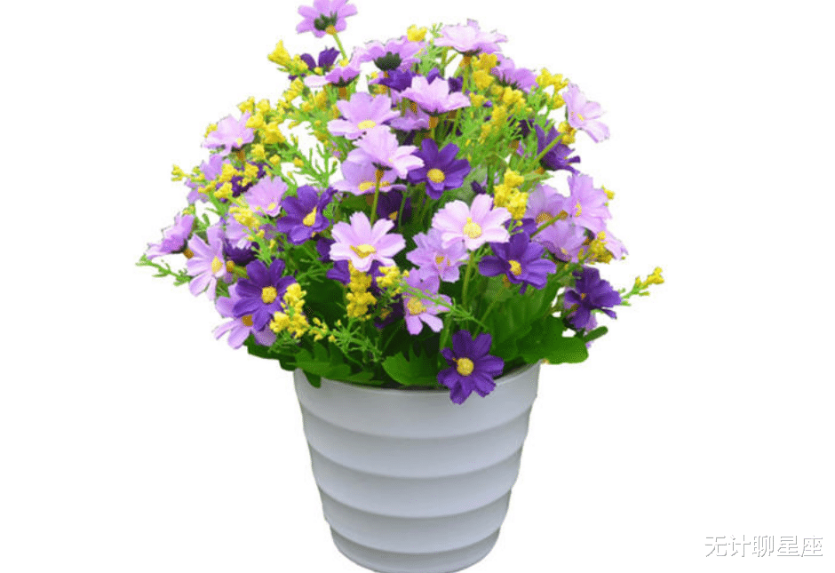 动力|2021，事业上有所进步的4个星座，备受老板的器重，前程远大