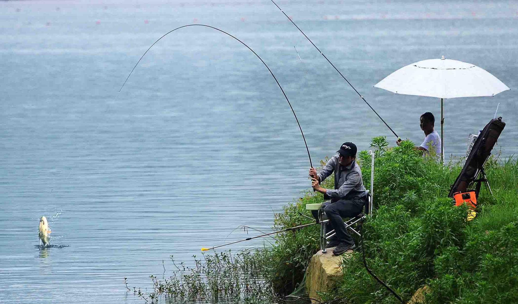 饵料|野钓时用什么气味的鱼饵效果最好？野钓效果最好的钓鱼小药盘点