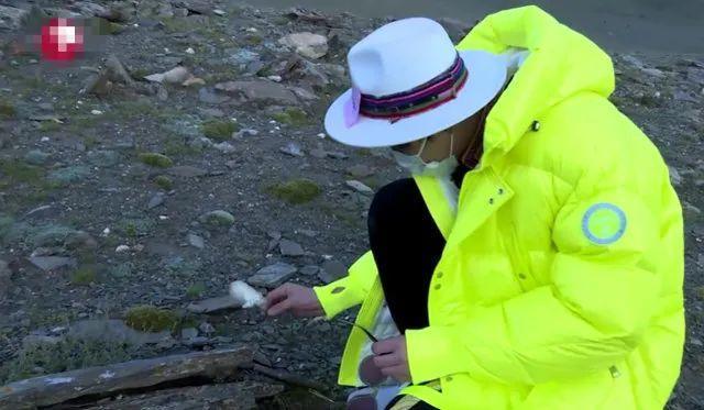 男子花100元买盆花，警察半夜找上门，结果悲剧了